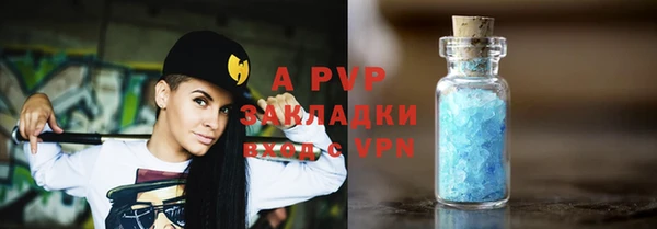 стафф Алексин