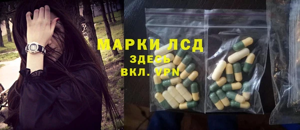 стафф Алексин