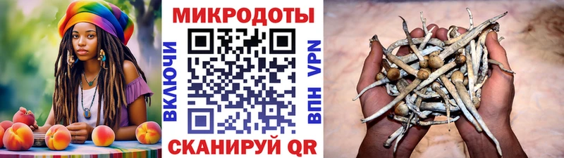 Псилоцибиновые грибы ЛСД  наркота  Тайшет 